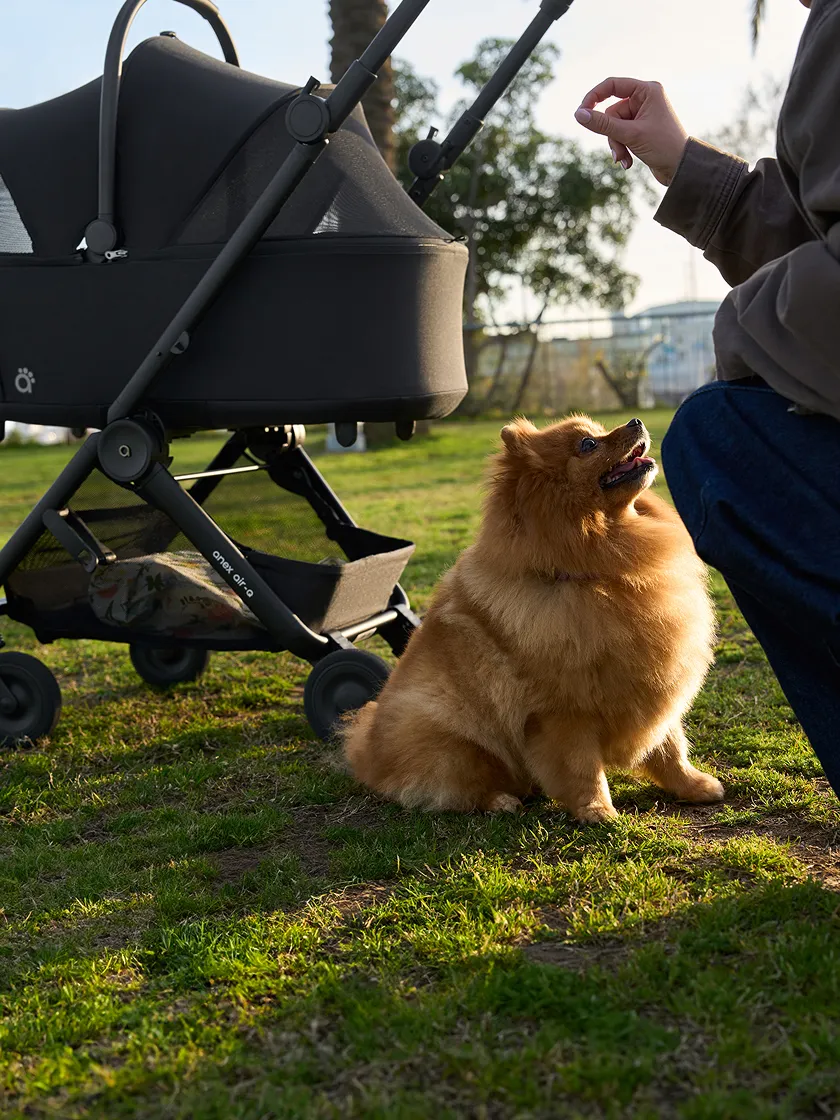 Air-Q pet carrycot