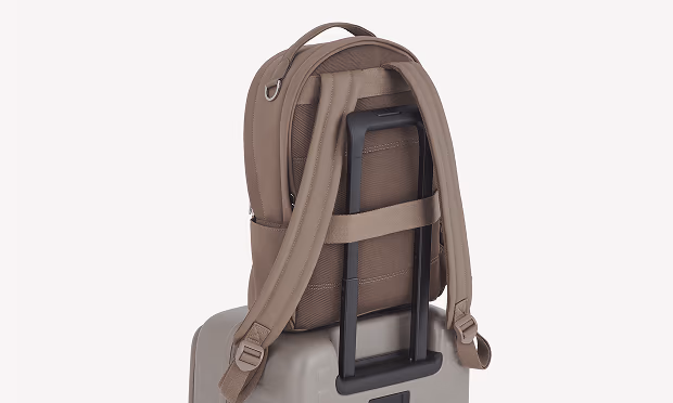 Travel strap