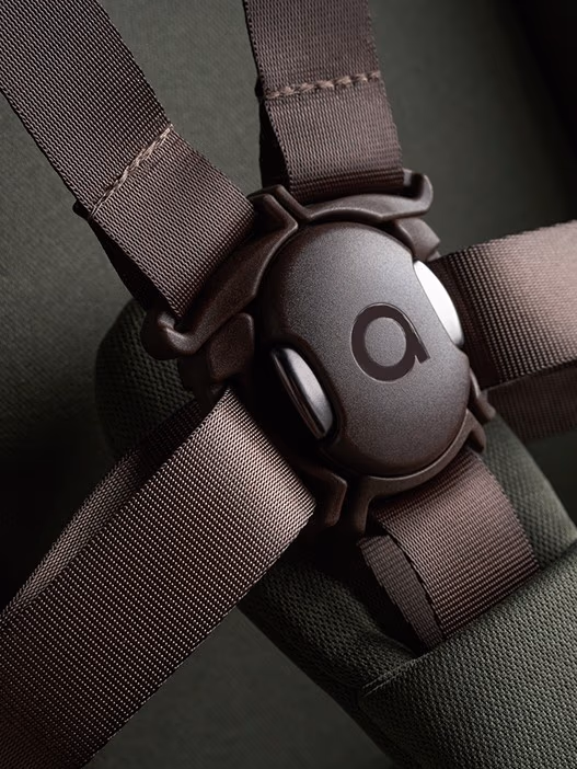 Magnetic buckle and 5-point safety belts