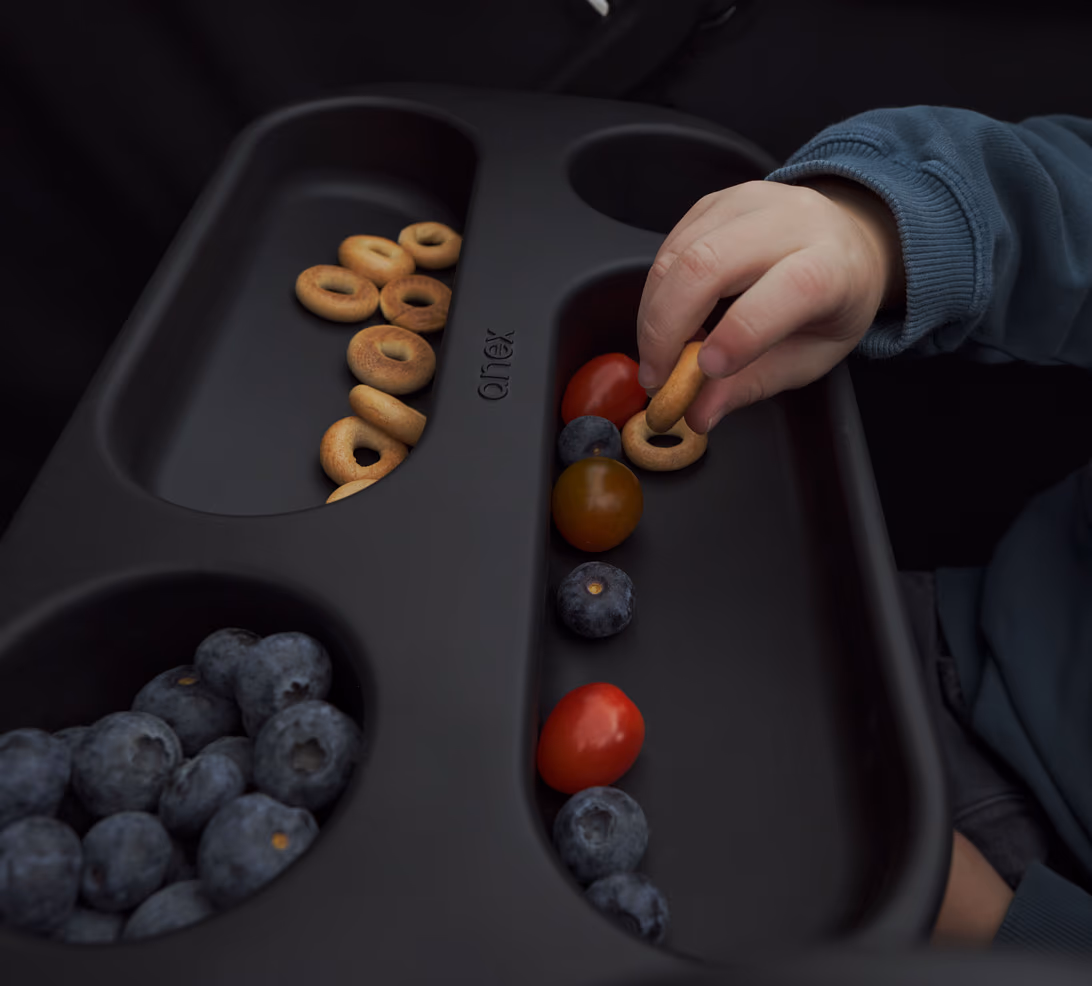 Anex Modu Wagon mainbody